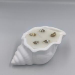 شموع صدفة(12حبة)